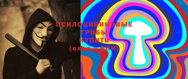шишки Богданович