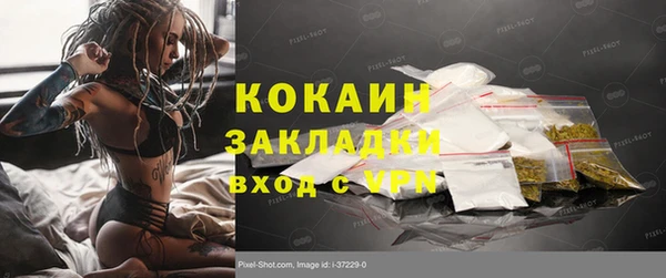 шишки Богданович