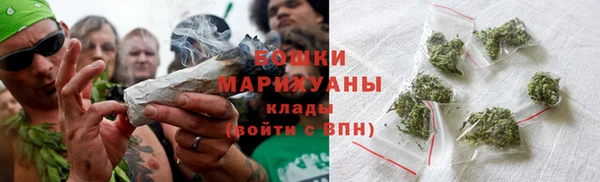 прущие грибы Бугульма