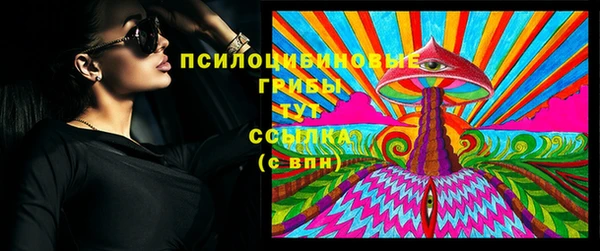прущие грибы Бугульма