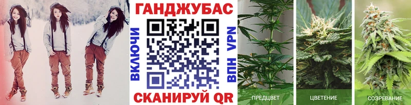 Канабис гибрид  продажа наркотиков  KRAKEN ONION  Курильск 